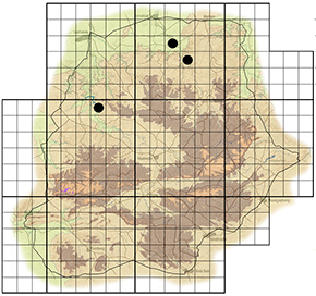 Commiphora pyracanthoides Waterberg distribution